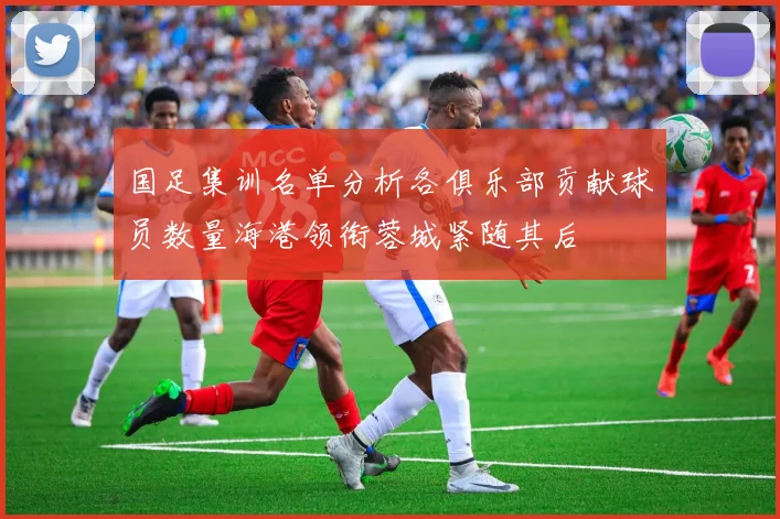 国足集训名单分析各俱乐部贡献球员数量海港领衔蓉城紧随其后